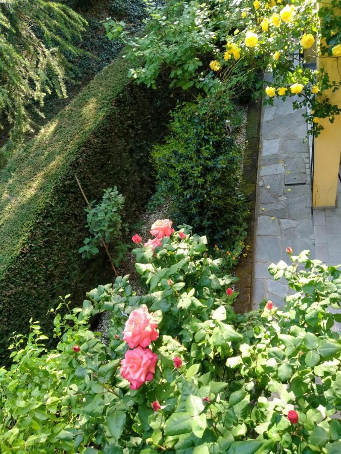 Ferienwohnung Rose'S Garden - Un Angolo Di Quiete Pino Torinese Exterior foto